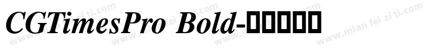 CGTimesPro Bold字体转换